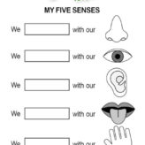 science worksheet for 2nd grade