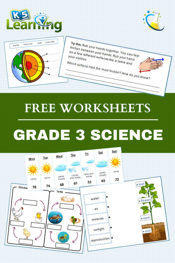 Science Worksheets for Grade 3 Students | Worsheets library