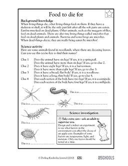 science worksheet for 3rd graders free
