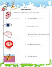 Grade 4 science worksheets