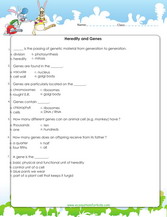 science worksheet for 6th graders printable