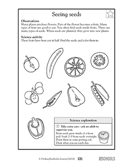 science worksheet for elementary students