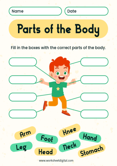 Grade 1 Science - Worksheet Digital