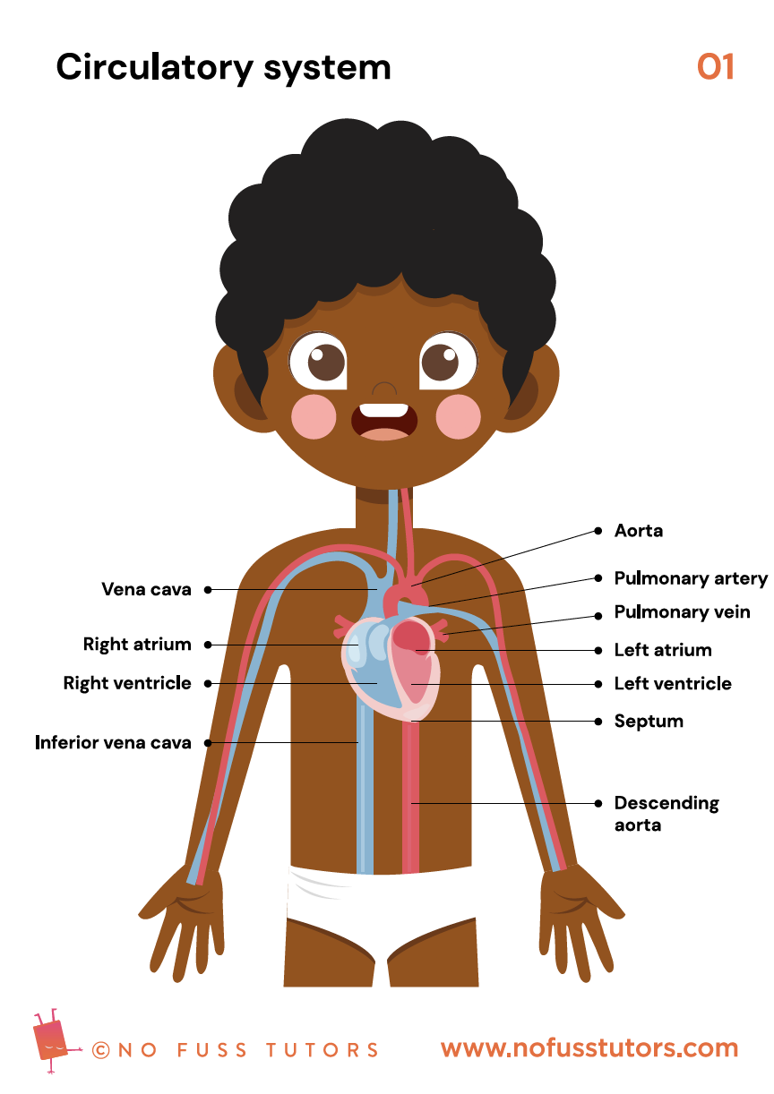 science worksheet for grade 6