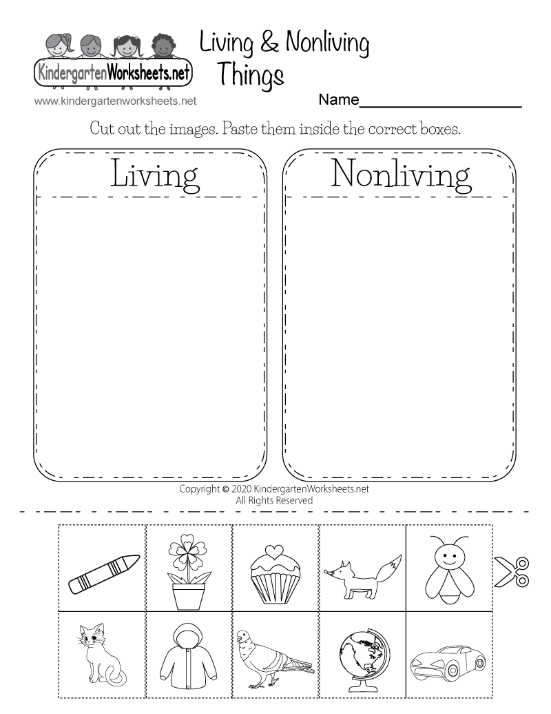 Living and Nonliving Things Worksheet - Free Printable, Digital, &  PDF