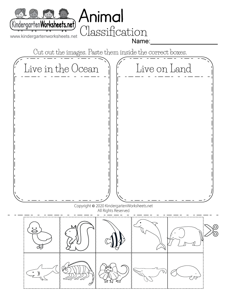 science worksheet for preschool