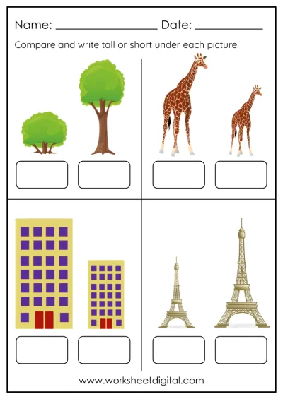 science worksheet for preschoolers