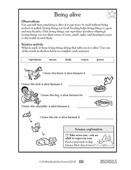 science worksheet for second graders