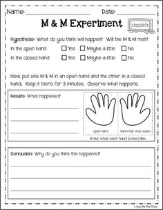 science worksheet for second graders