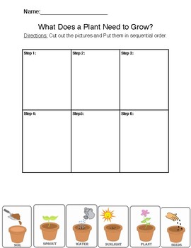 science worksheet for second graders