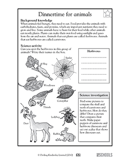 science worksheet for third grade