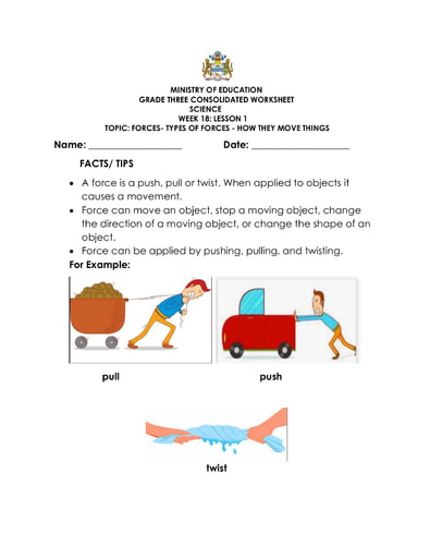 science worksheet for third graders