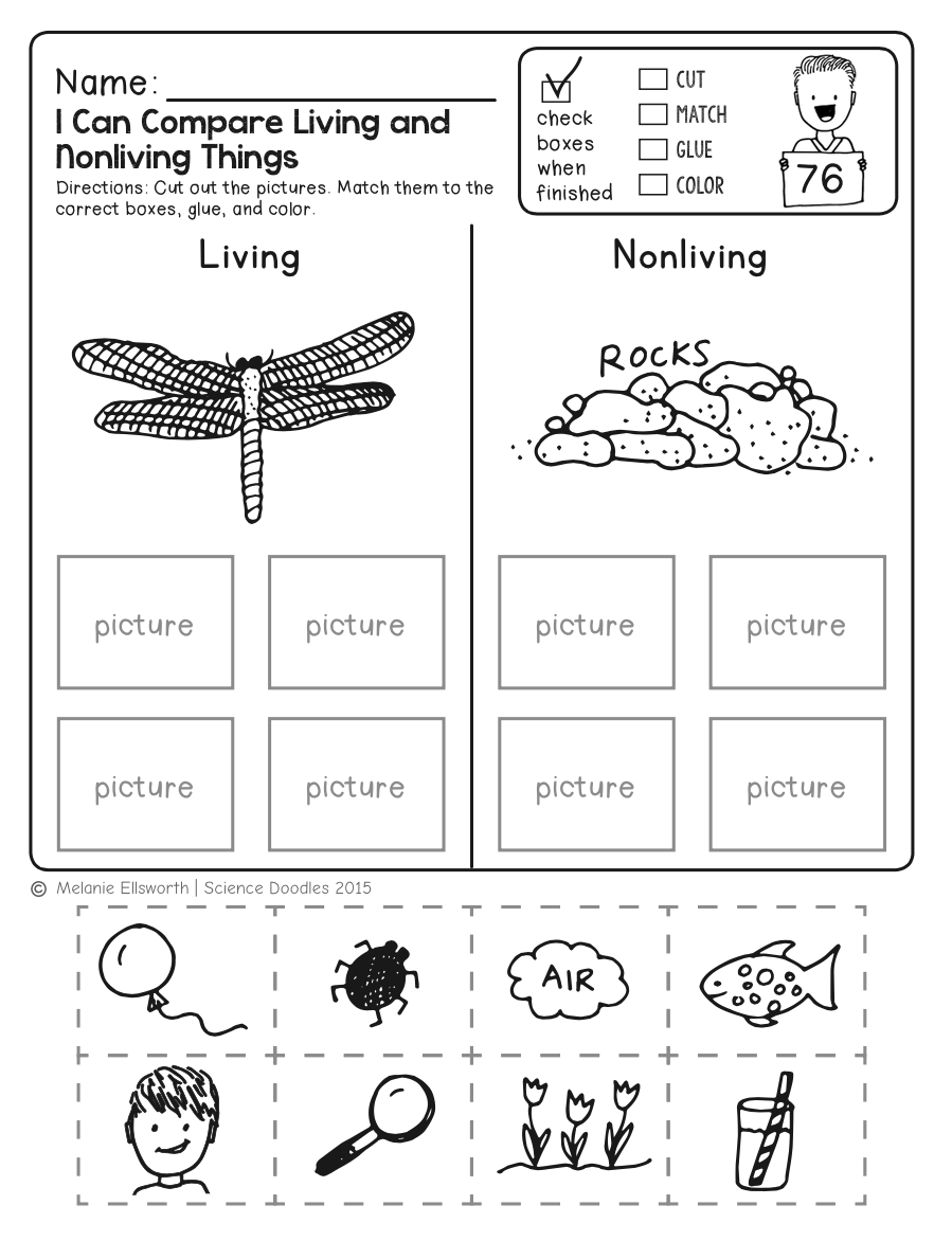 FREEBIE! NO-PREP Kindergarten Science Doodle Printables