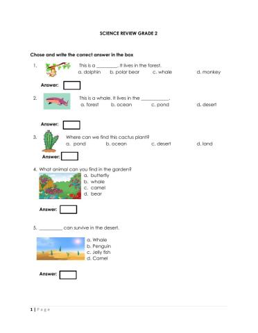 Science Review Grade 2 worksheet  