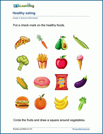 science worksheet grade 2