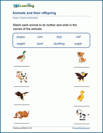 Animals Offspring Worksheets | Worsheets library