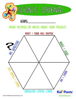 Observation Worksheet - Young Kids