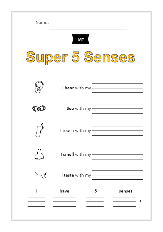 Science Worksheet for Kindergarten | EdrawMax Template