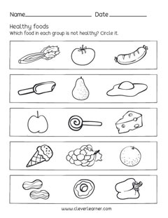 Kindergarten and first-grade animal science activity sheets