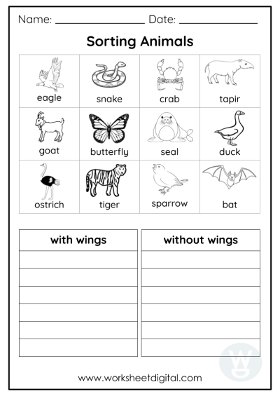 Kindergarten Science - Worksheet Digital