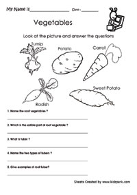 Science Worksheets,Environmental Science Worksheets,Printable ...
