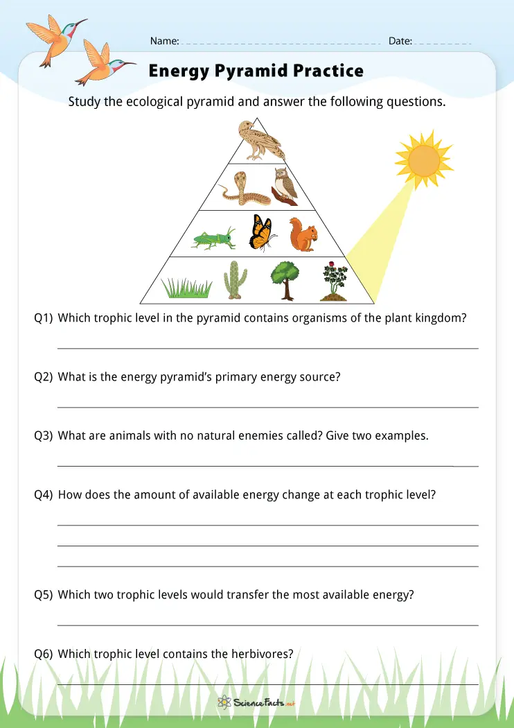 Free Printable Worksheets