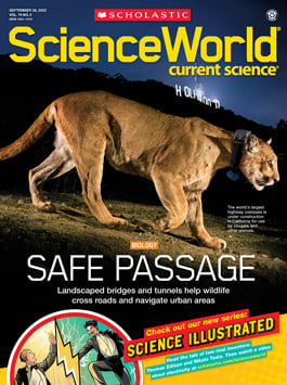science world magazine worksheet