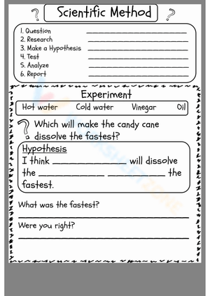 Grade 2 Scientific Method Worksheets 2024