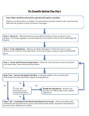 Scientific Method Flow Chart - Worksheets Library