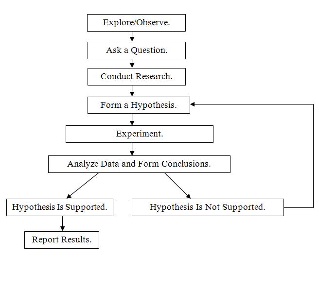 Free scientific method flow chart worksheet, Download Free scientific ...