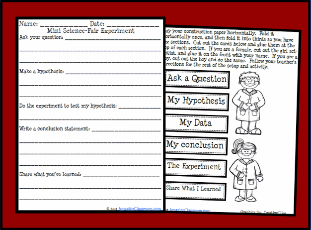 Mini Science Folder Experiment Printable Worksheet with Answer Key ...