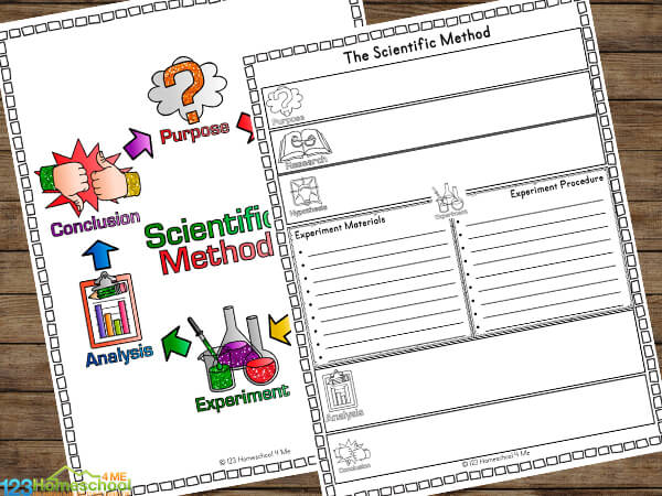 ✏️ FREE Printable The Scientific Method Worksheets pdf
