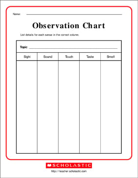 Scientific Observation Worksheets, Activities, Ideas &  Lesson ...