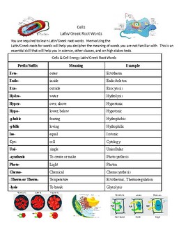 scientific prefixes and suffixes worksheet answers