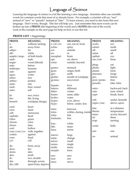 scientific prefixes and suffixes worksheet answers