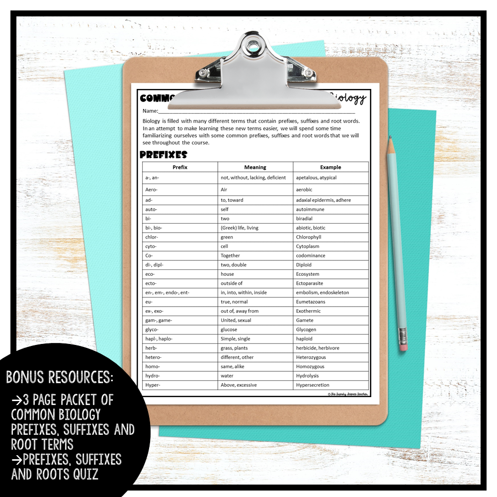 scientific prefixes worksheet
