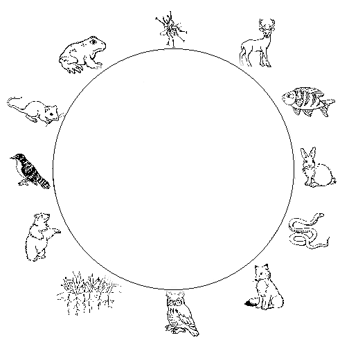 Cub Scout Nature WOrksheets 2024