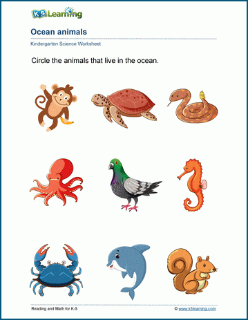 Ocean, forest, and farm habitats worksheets | Worsheets library