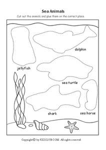 Sea Animals Worksheet for Kindergarten - 1st Grade | Lesson Planet