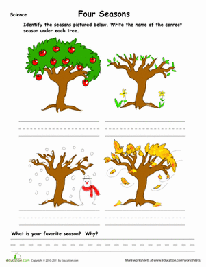 Learn the Four Seasons | Worksheet 