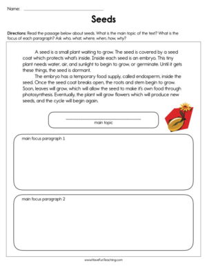 Second Grade Main Idea Resources  