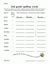 second grade spelling words worksheet