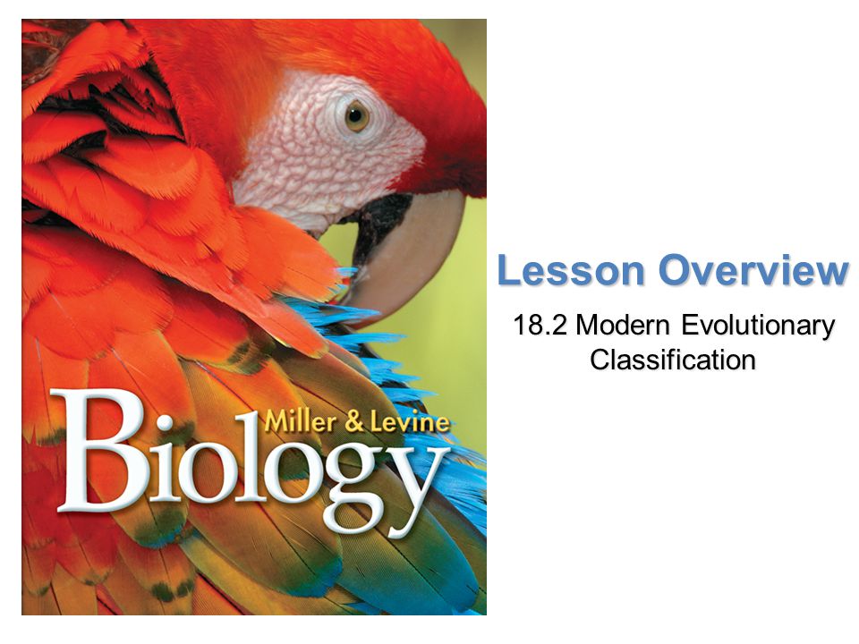 section 18 2 modern evolutionary classification worksheet answers