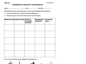 Adaptations of plants for seed dispersal Worksheet for 4th - 7th ...