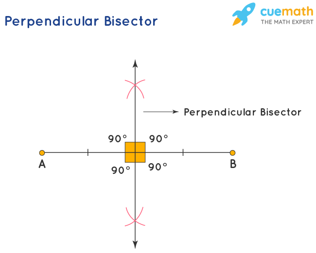 segment and angle bisectors worksheet