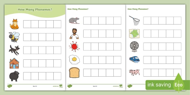 segmentation worksheet