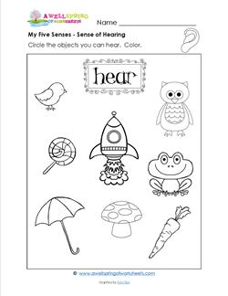 sense of hearing worksheet