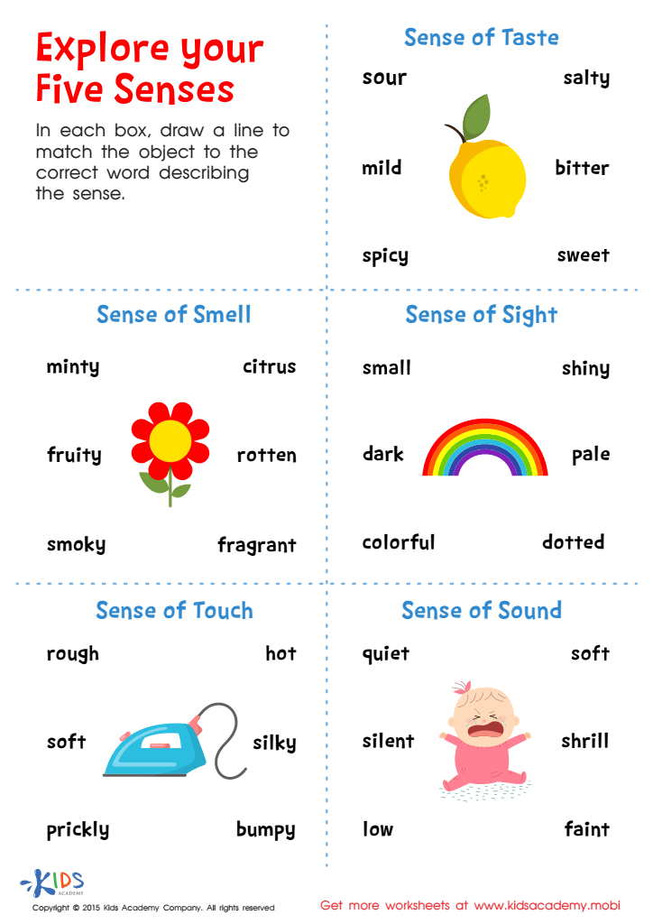 sense of sight worksheet for kindergarten