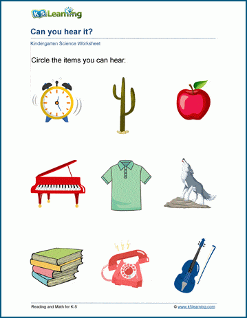 sense of sight worksheet for kindergarten