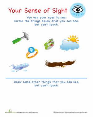 sense of sight worksheet for kindergarten